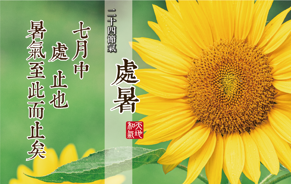 二十四節氣-- 處暑- 努力小農
