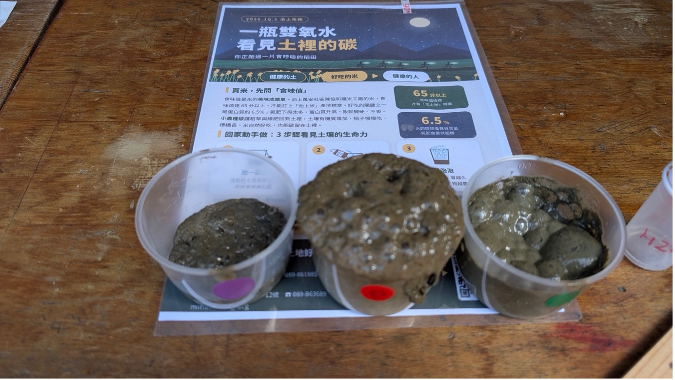 三杯土壤樣品加入雙氧水後冒泡程度不同